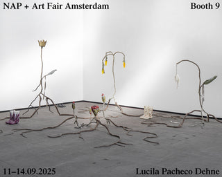 NAP + Art Fair Amsterdam, September 11 - 14, 2025