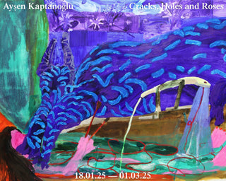 Cracks, Holes and Roses