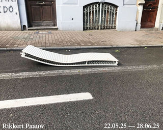 IN SITU by Rikkert Paauw