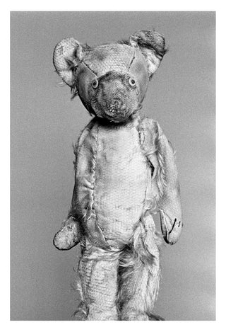 Helena van der Kraan / Portrait Bear #3 (ed. of 8)
