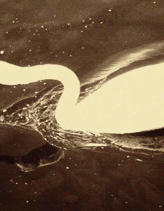 Madé van Krimpen - Paul Kooiker