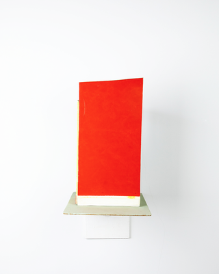 Veron Urdǎrianu / Bed House, 2020 (ed. of 2)