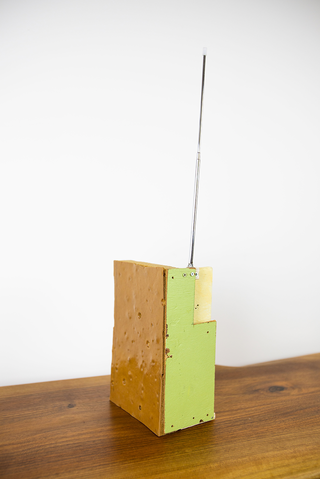 Veron Urdǎrianu / House with Skin, 2020 (ed. of 2)