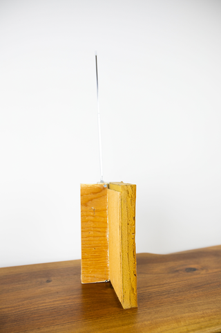 Veron Urdǎrianu / House with Skin, 2020 (ed. of 2)