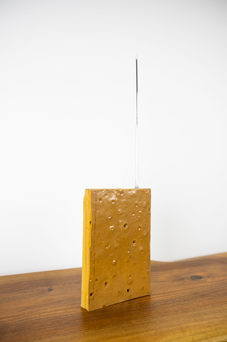 Veron Urdǎrianu / House with Skin, 2020 (ed. of 2)