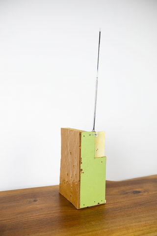 Veron Urdǎrianu / House with Skin, 2020 (ed. of 2)