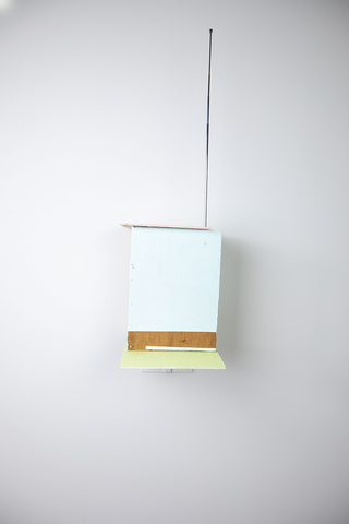 Veron Urdǎrianu / Phone Booth, 2020 (ed. of 2)