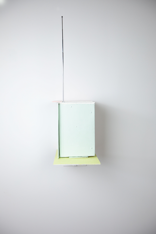 Veron Urdǎrianu / Phone Booth, 2020 (ed. of 2)