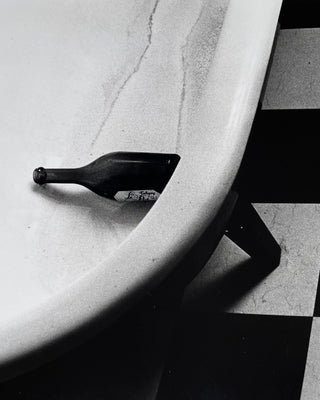 Helena van der Kraan