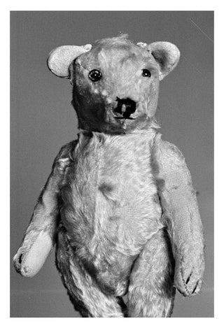 Helena van der Kraan / Portrait Bear #1 (ed. of 8)