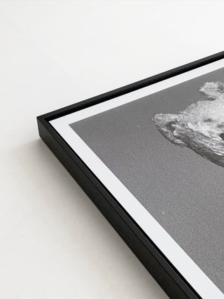 Helena van der Kraan / Portrait Bear #4 (ed. of 8)