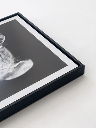 Helena van der Kraan / Portrait Bear #2 (ed. of 8)