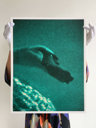 Paul Kooiker / Black Meat, 2007 (ed. of 10)