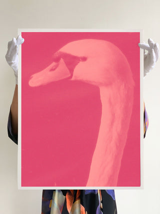 Paul Kooiker / Black Meat, 2007 (ed. of 10)