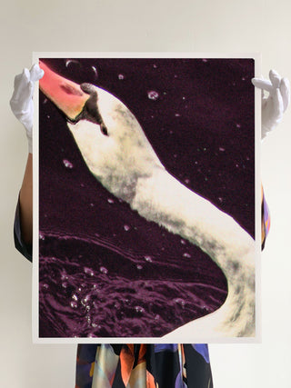 Madé van Krimpen - Paul Kooiker